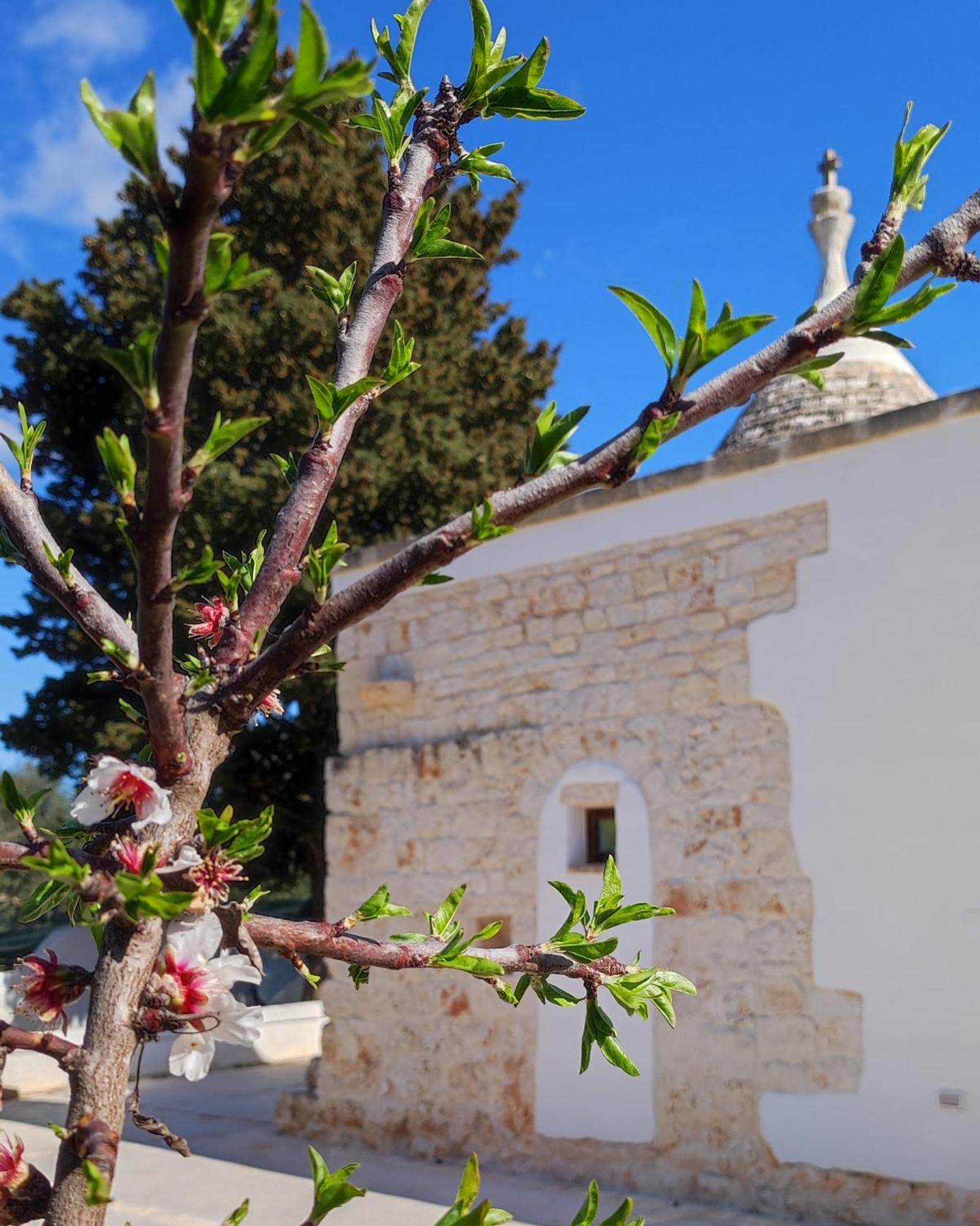 Willa Trullo Zurlo Ostuni Zewnętrze zdjęcie