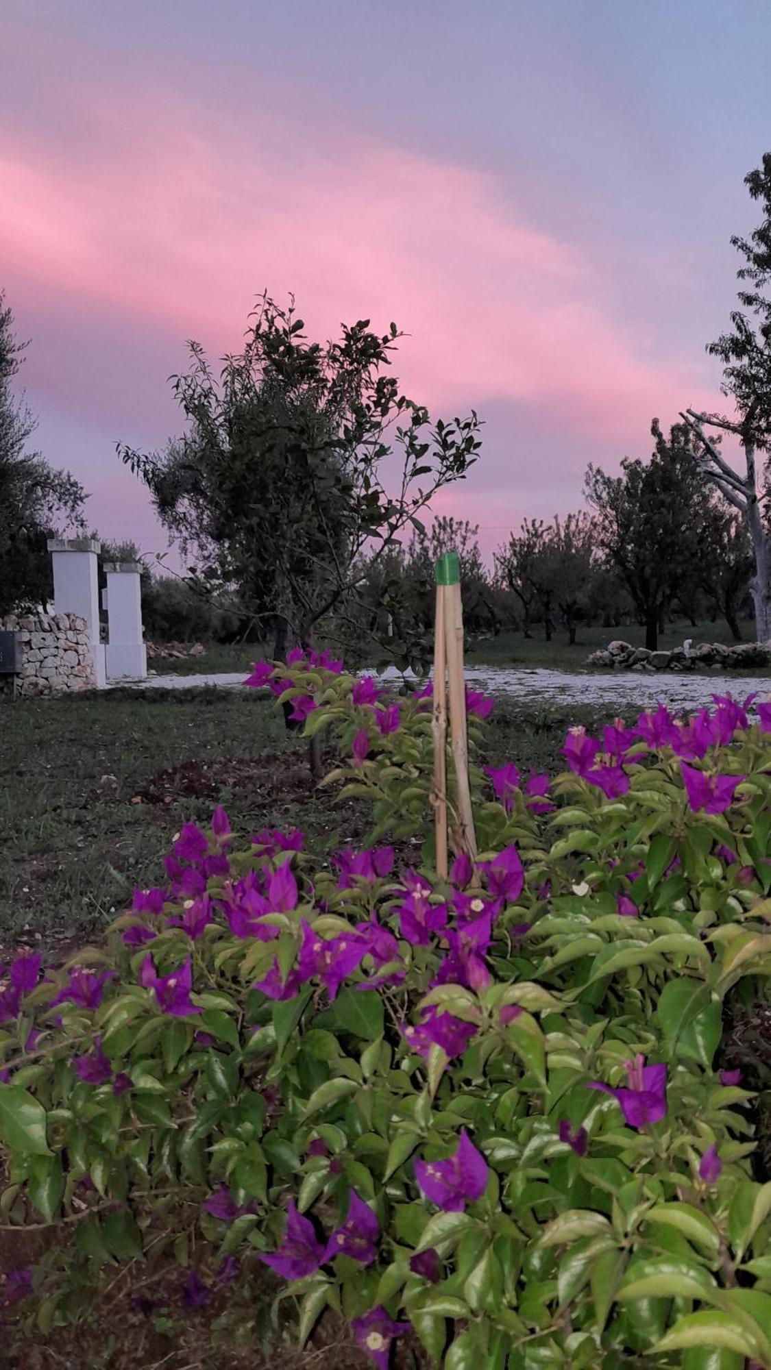 Willa Trullo Zurlo Ostuni Zewnętrze zdjęcie