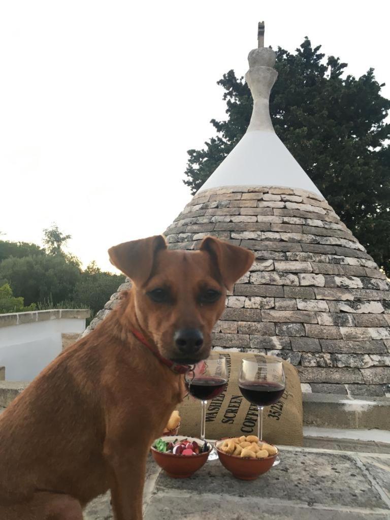 Willa Trullo Zurlo Ostuni Zewnętrze zdjęcie